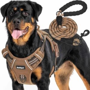 Dog harness with adjustable fit and front and back leash clips