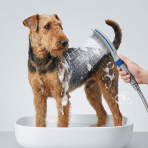 Pet Bath Brush with Water Hose Connection for Easy Grooming