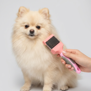 Double-Sided Pet Hair Brush for Dog & Cat Grooming