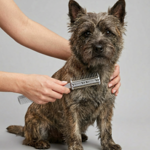 Pet Hair Cutting Comb with Replaceable Blade for Dog & Cat Grooming