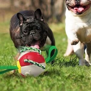 Alternative view of Durable Interactive Dog Ball Chew Toy for Fetch & Tug Play