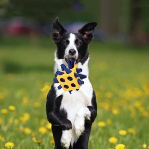 Alternative view of Portable Sniffing Cube Interactive Dog Training & Treat Puzzle Toy